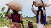 Soudan&nbsp;: les atrocités commises au Darfour il y a 20 ans risquent de se reproduire
