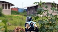 Casques bleus : l’ONU célèbre un héritage en quête d’avenir
