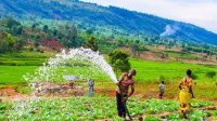 Les économies africaines enclavées ont des atouts pour contribuer à la prospérité du continent
