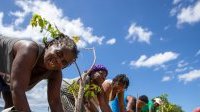 S’adapter pour survivre : 5 façons d’aider les pays à affronter la crise climatique
