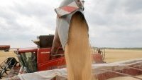 La FAO alerte sur des risques de pénuries alimentaires en Ukraine

