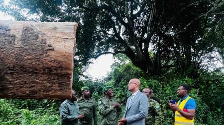 Forêt : le ministre Maurice Ntossui Allogo intensifie les contrôles sur le terrain

