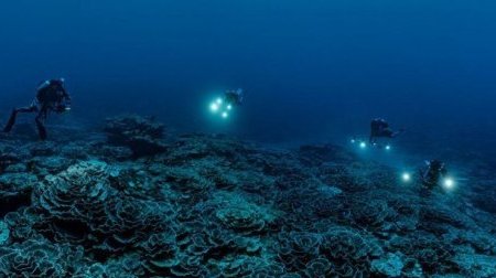Décolonisation&nbsp;: l’histoire inachevée des derniers peuples sous tutelle
