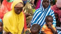 L’insécurité alimentaire aiguë atteint de nouveaux records dans le monde, selon l’ONU
