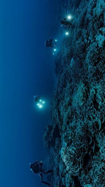 Décolonisation&nbsp;: l’histoire inachevée des derniers peuples sous tutelle
