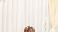 Projet de loi portant loi d’orientation de l’économie sociale et solidaire&nbsp;: Manfoumbi entendu au Sénat
