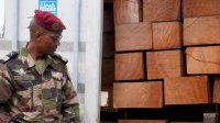 Owendo : 10 conteneurs de kevazingo retrouvés abandonnés sur le site de l’entreprise Getman
