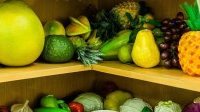 L’ONU se mobilise pour une alimentation saine qui éviterait 11 millions de décès par an
