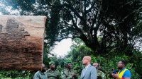 Forêt : le ministre Maurice Ntossui Allogo intensifie les contrôles sur le terrain
Forêt : le ministre Maurice Ntossui Allogo intensifie les contrôles sur le terrain