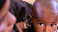 Somalie : Frappée par la sécheresse et la faim, le pays a besoin de 2,6 milliards de dollars

