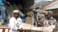 Un coup de poing dans l’avenir de la boxe gabonaise : Réception de nouveaux rings à la Fegaboxe

