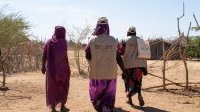 Crise au Soudan&nbsp;: 5 régions frappées par la famine, plus de 17 autres sont menacées
