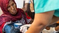 4.000 morts dans une trentaine de pays&nbsp;: la résurgence du choléra
