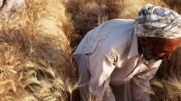 Les prix mondiaux des denrées alimentaires ont encore baissé en décembre

