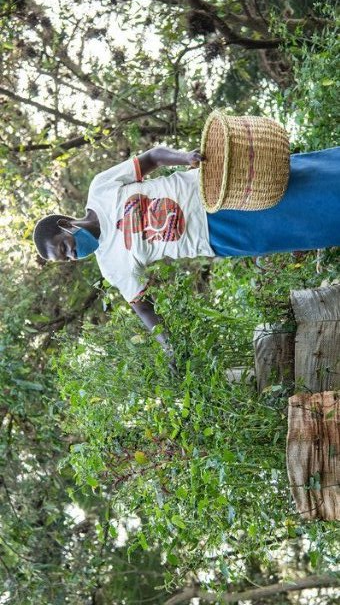 Les Africains en première ligne face à la crise de la biodiversité
