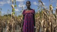 Il faut que les promesses d’aide à l’adaptation climatique pour les pays en développement soient tenues
