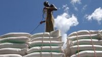 Les prix alimentaires mondiaux continuent de baisser depuis dix mois selon la FAO
