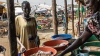 Soudan du Sud&nbsp;: l’ONU appelle à investir davantage pour éviter une crise alimentaire
