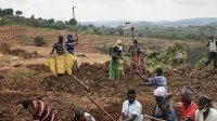 Plus de 866 millions d’agriculteurs et paysans nourrissent le monde

