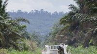 RDC : Une paix durable exige un règlement politique des causes profondes du conflit, plaide l’ONU
