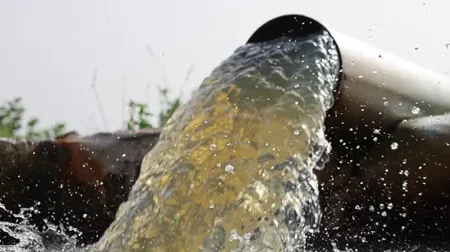 Eau agricole&nbsp;: la Banque mondiale voit 245 millions d’emplois à la clé
