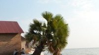 Ouganda : les effets économiques de la montée des eaux du lac Albert sont dévastateurs
