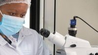 Covid-19 : Six pays africains auront leur propre unité de production de vaccin ARNm
