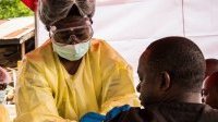 Afrique : les maladies transmises par les animaux à l’homme ont bondi au cours de la dernière décennie
