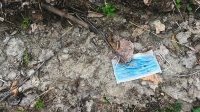 Covid-19&nbsp;: la pandémie a généré des dizaines de milliers de tonnes de déchets médicaux supplémentaires
