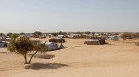 L’Afrique, épicentre de l’extrémisme violent : un défi pour la paix et le développement
