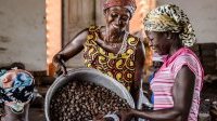 Le plein potentiel des femmes reste inexploité, dénonce l’ONU

