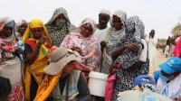 Tchad&nbsp;: le manque de fonds entrave l’aide aux réfugiés soudanais
