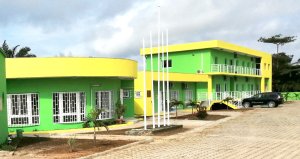 Panthères du Gabon&nbsp;: Plus de 600 candidatures enregistrées pour l’après Mouyouma