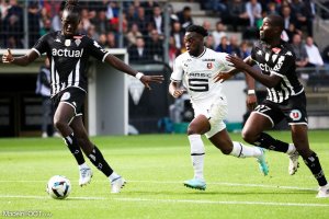 Ligue 1&nbsp;: le Stade Rennais renoue avec la victoire en dominant le SCO d’Angers de Jim Allevinah et Jacques Ekomie