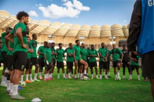 Panthères du Gabon&nbsp;: Pas de match amical en juin, faute de sélectionneur